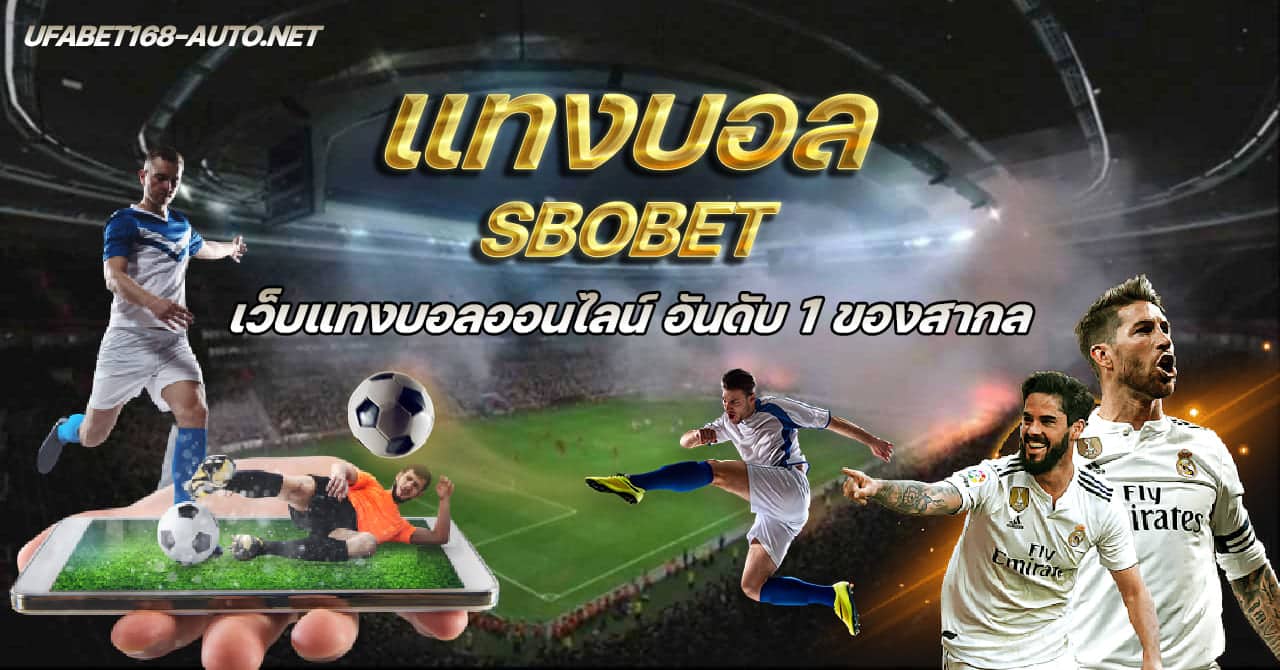 Read more about the article แทงบอลsbobet